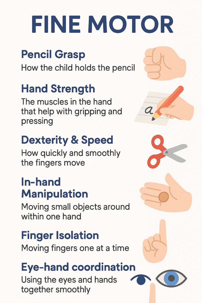Fine motor skills chart for children.