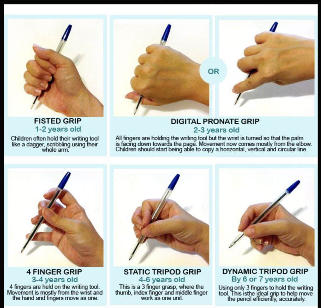 A hand holding a pen in one hand and another.