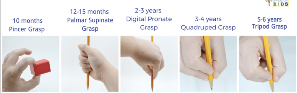 A hand holding a pen in one hand and another.