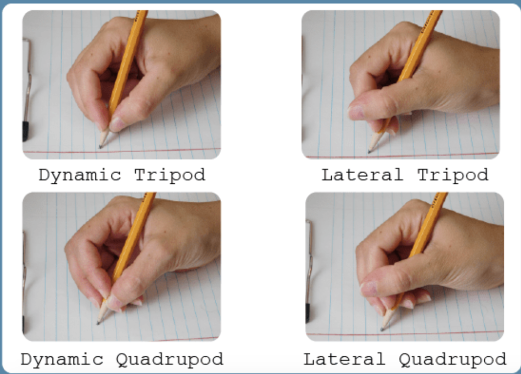 A hand holding a pen in one hand and another.