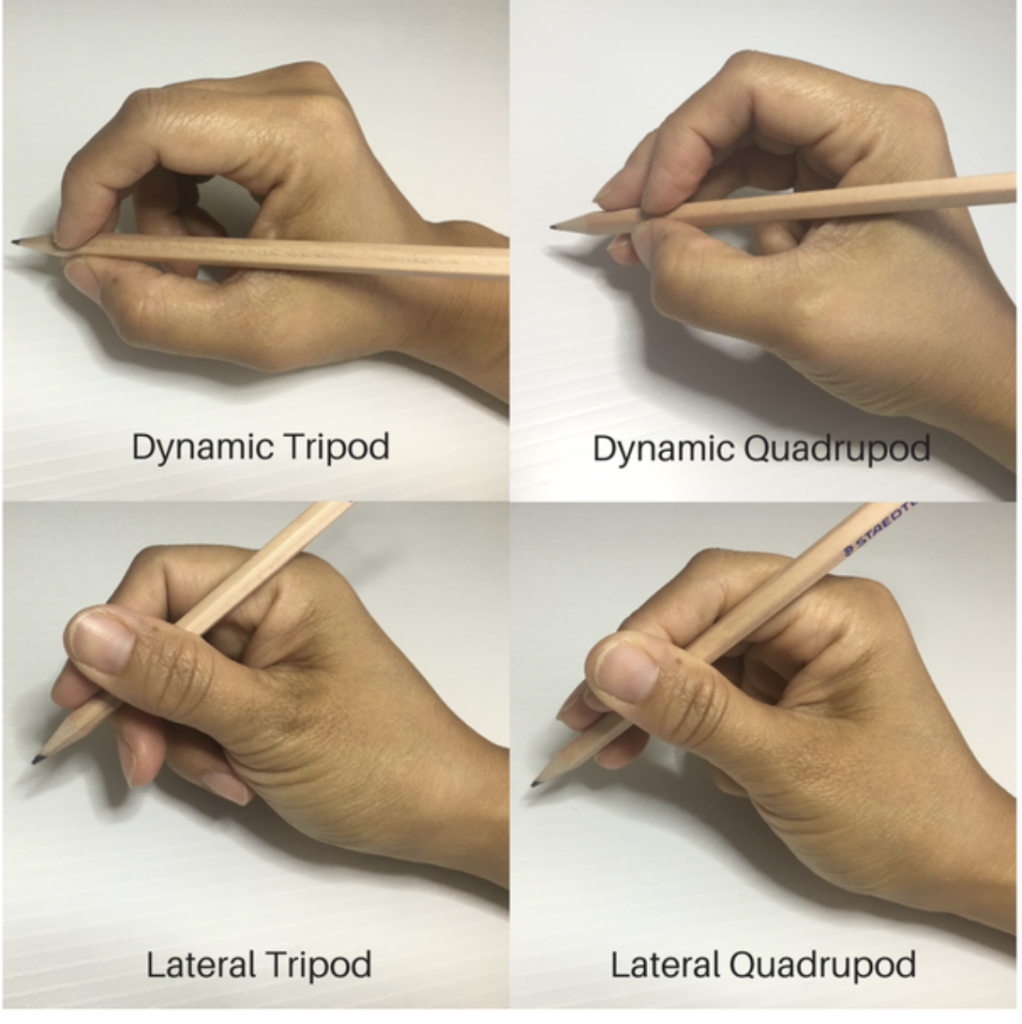 A hand holding a pen in one hand and another.