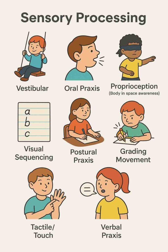 Sensory processing disorder illustration.